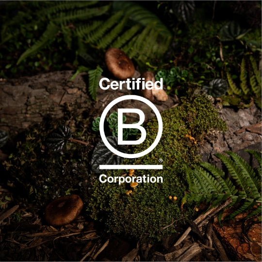 Jeuneora: Our journey to become a Certified B Corporation