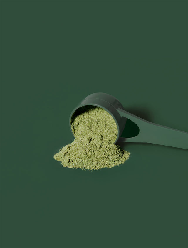 Jeuneora-Greens_powder texture on green background